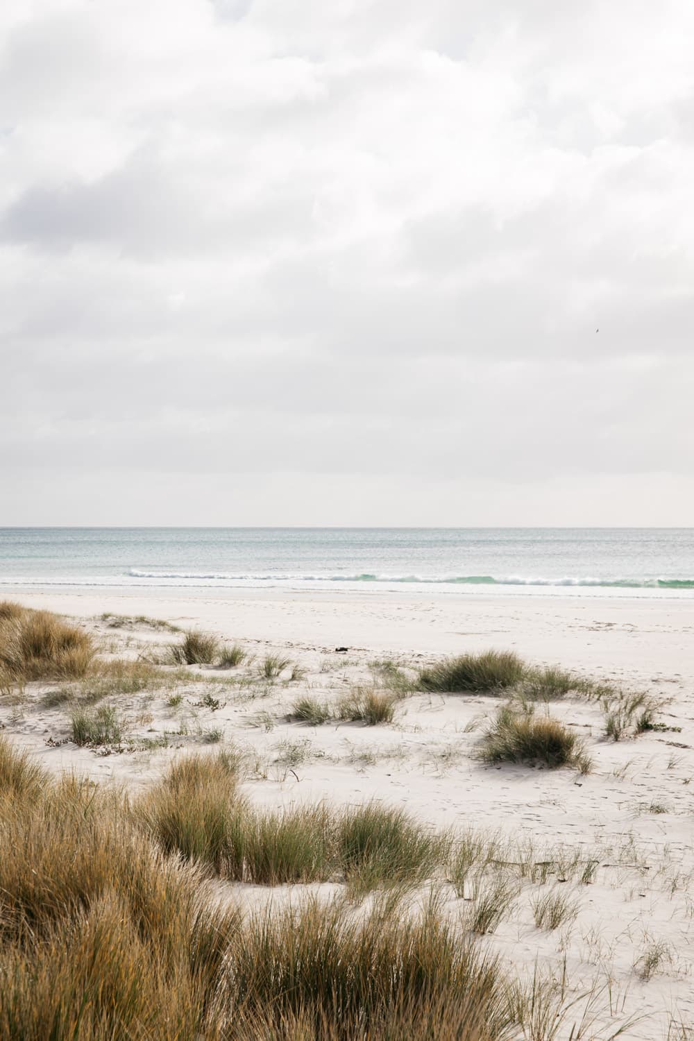 A grassy knoll on Sisters beach